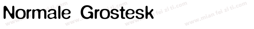 Normale Grostesk字体转换